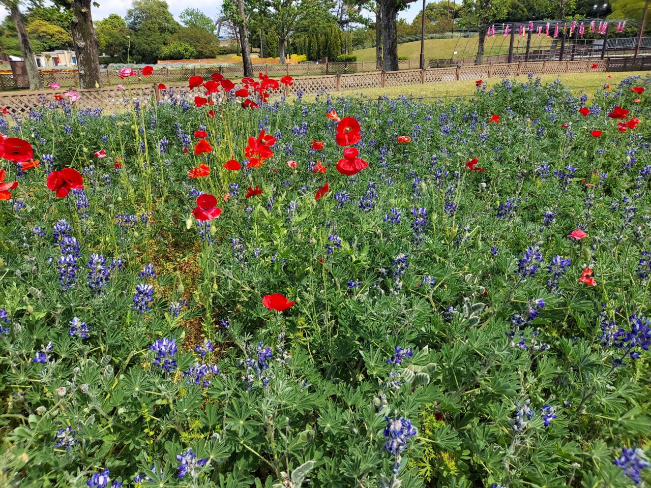 木曽三川公園センター