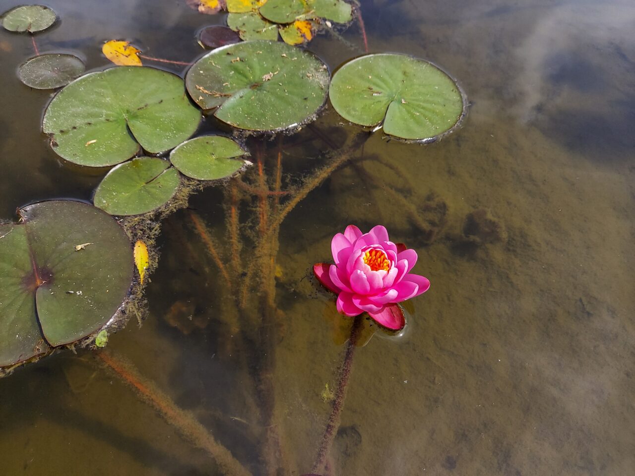 木曽三川公園センター