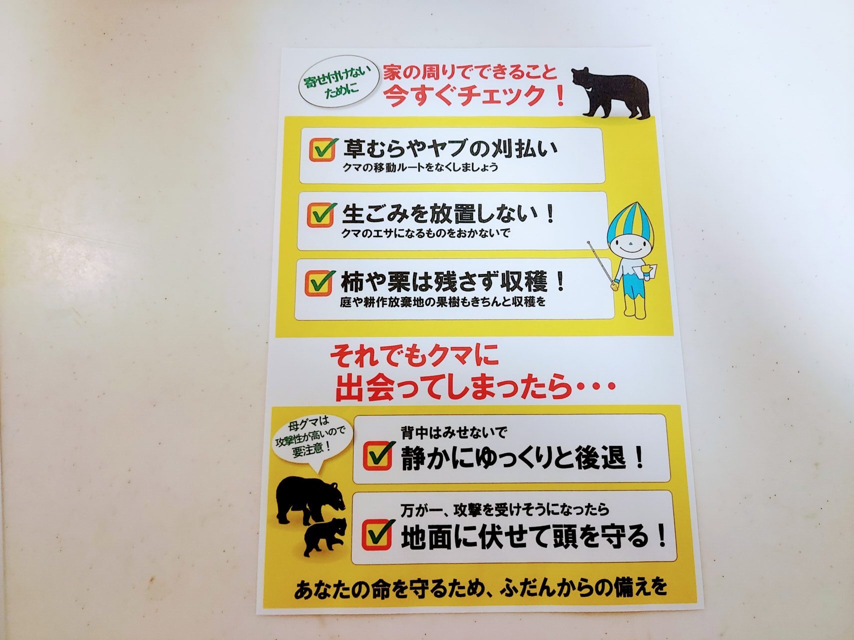 熊