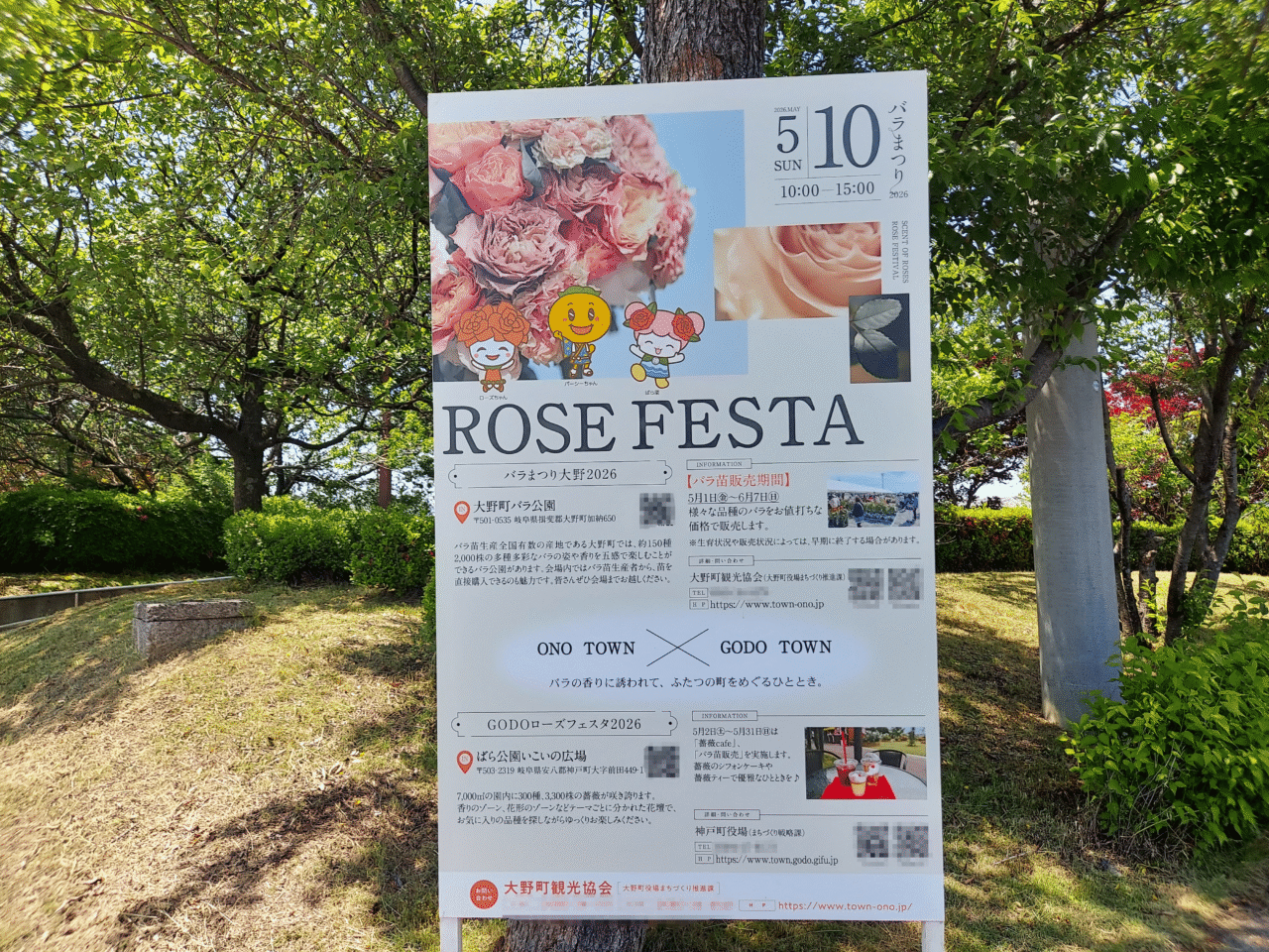 大野町バラ公園