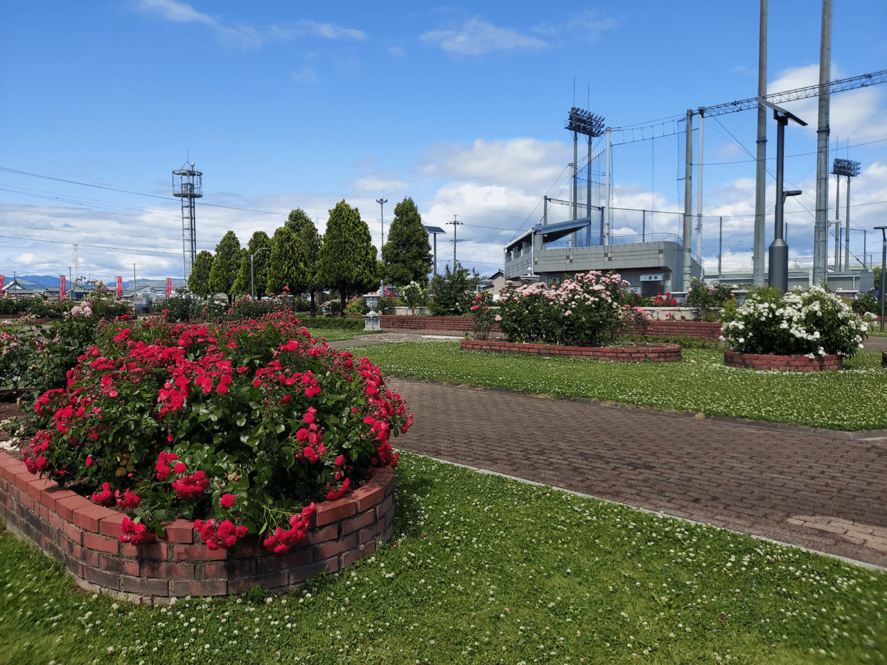 ばら公園いこいの広場