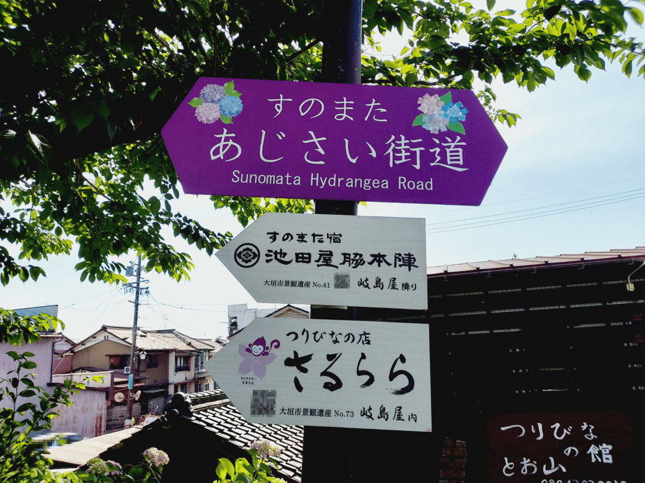 犀川あじさい2026