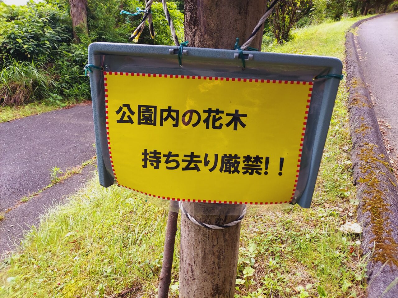月見の森