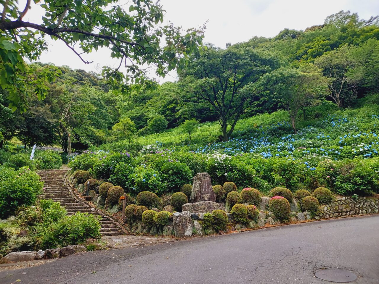 月見の森