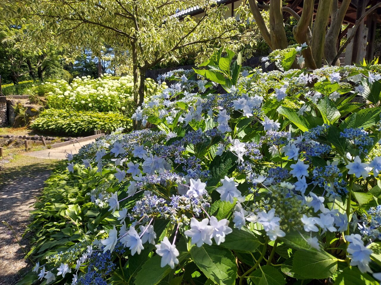 木曽三川公園センター