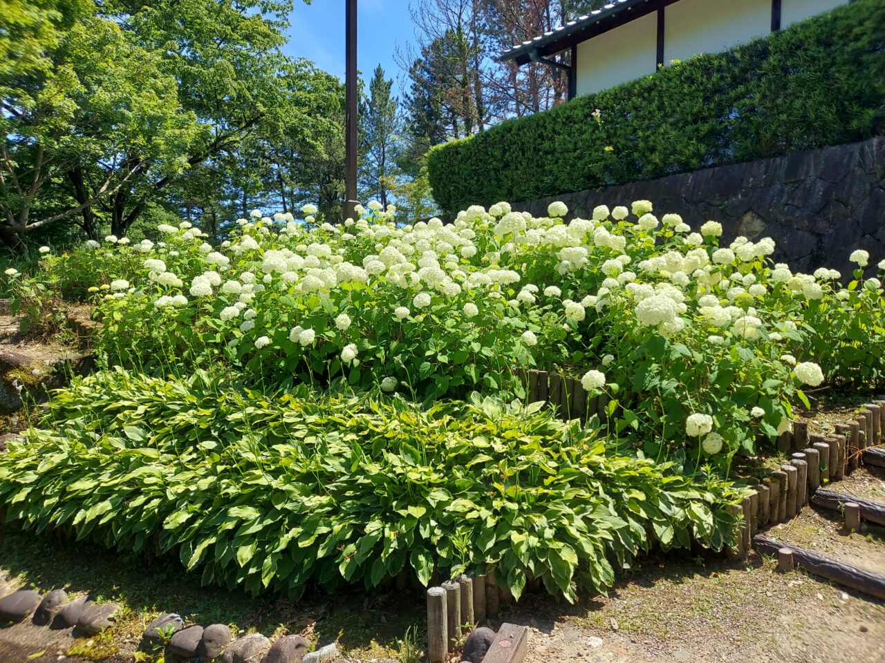 木曽三川公園センター