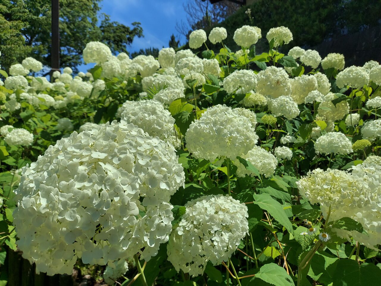 木曽三川公園センター