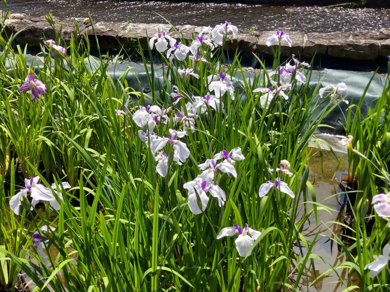 木曽三川公園センター