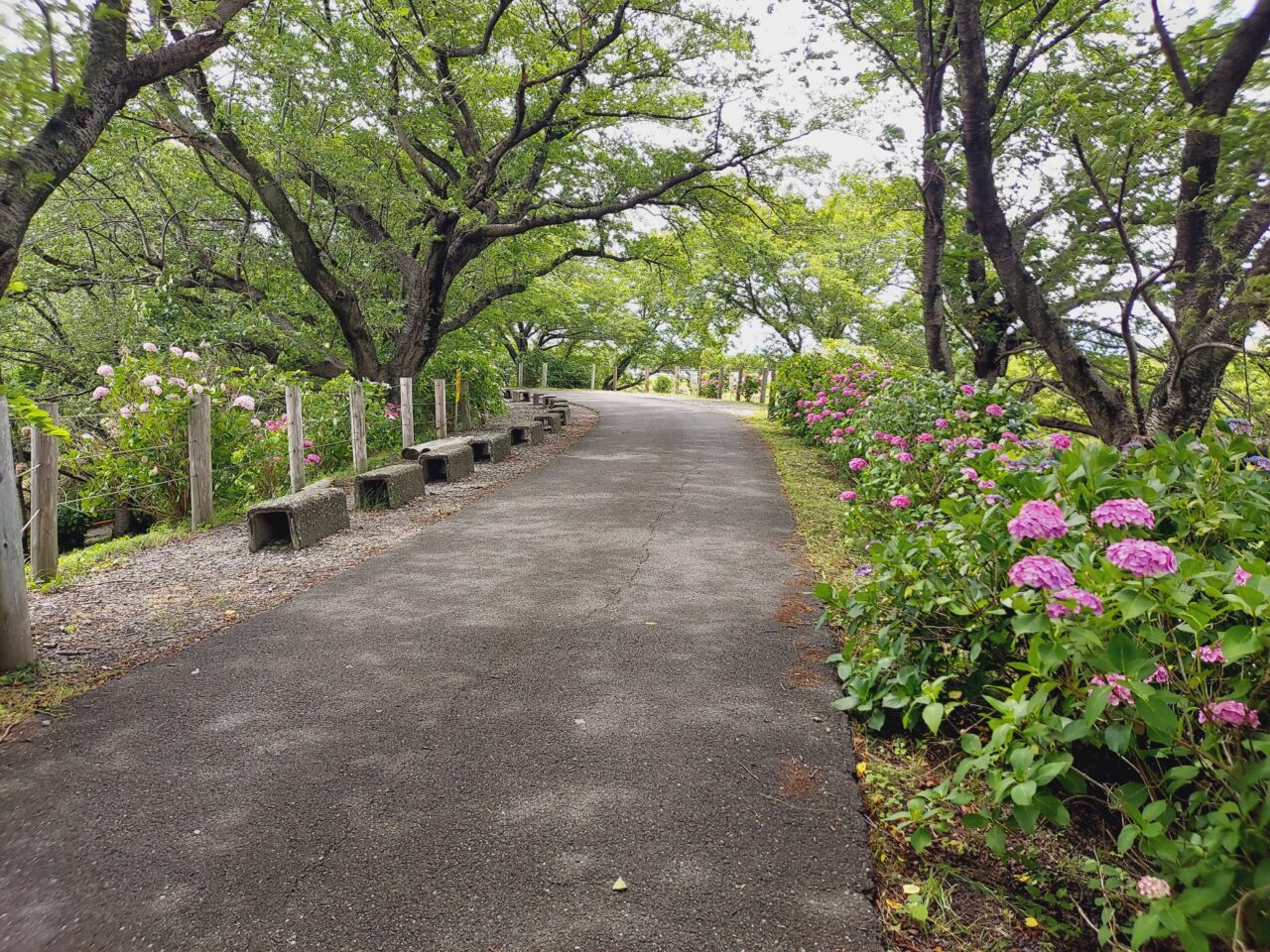 本戸輪中堤