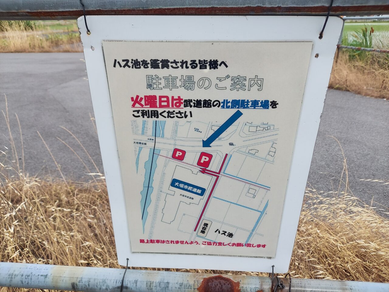 ハナハス