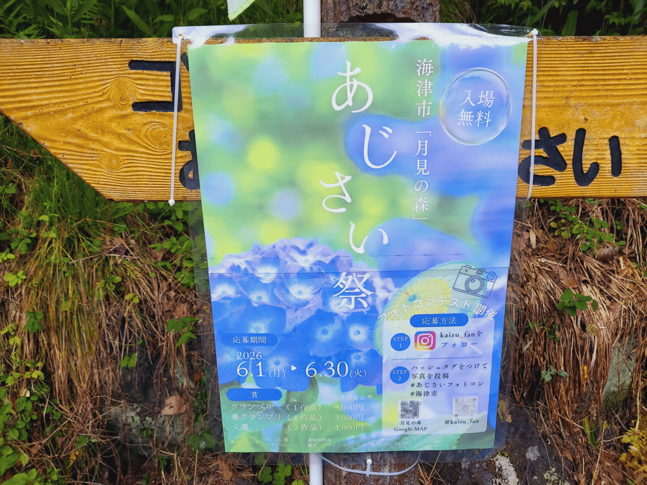 月見の森