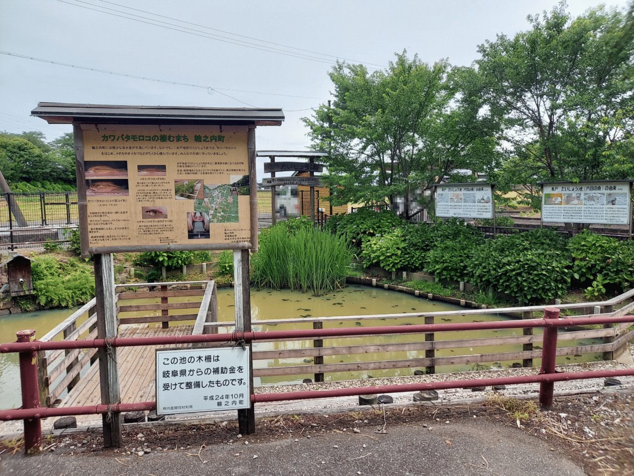 本戸輪中堤