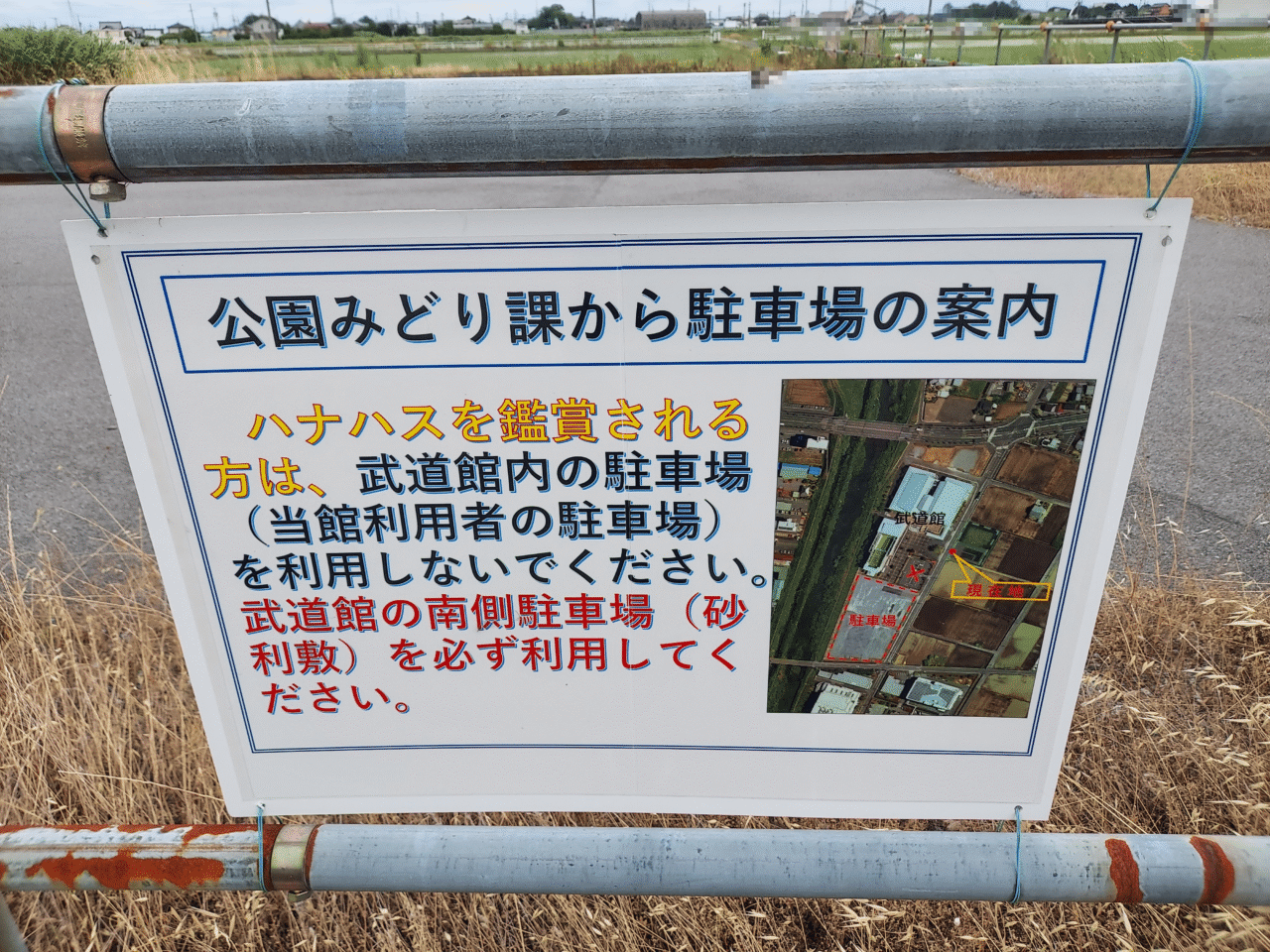 ハナハス