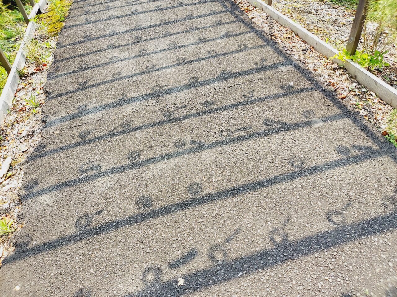 関ヶ原和傘物語•風鈴まつり