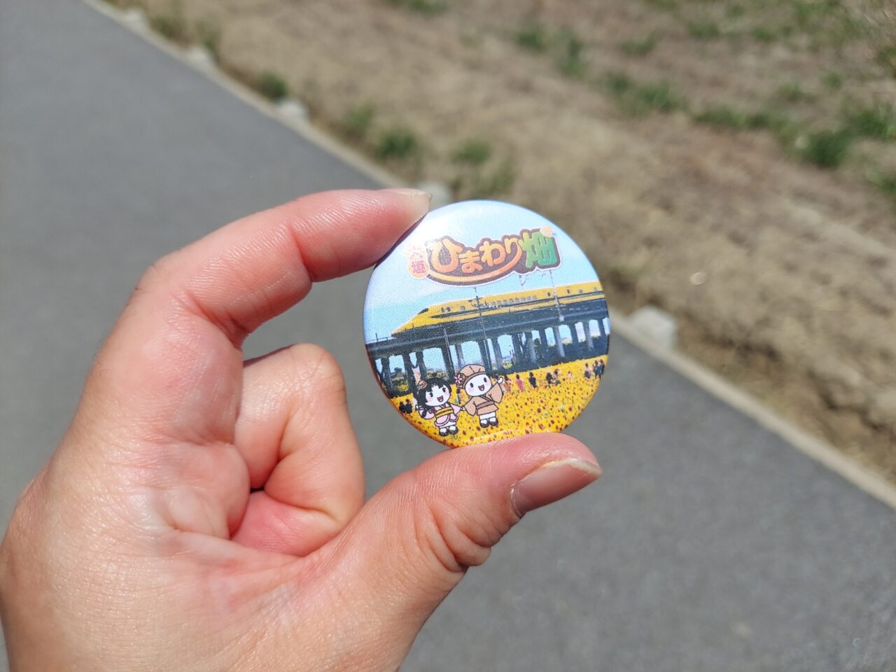 大垣ひまわり畑2026