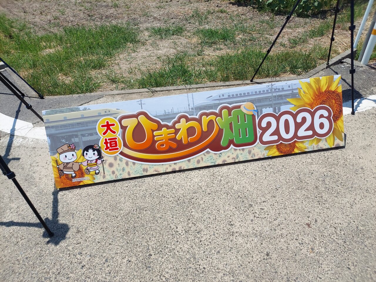 大垣ひまわり畑2026
