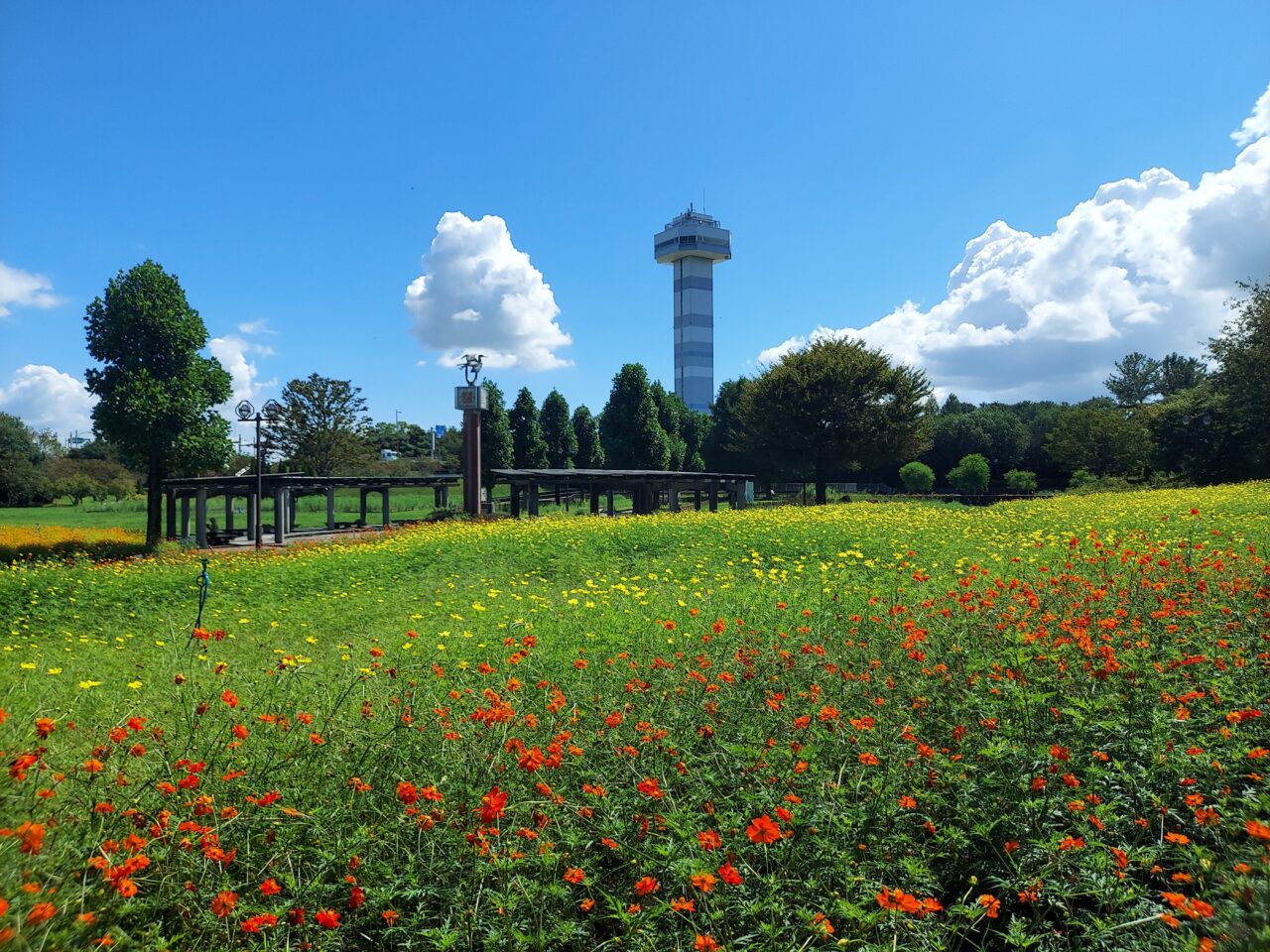 木曽三川公園センター