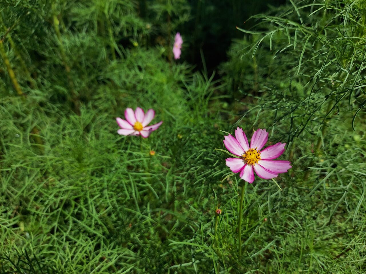 木曽三川公園センター