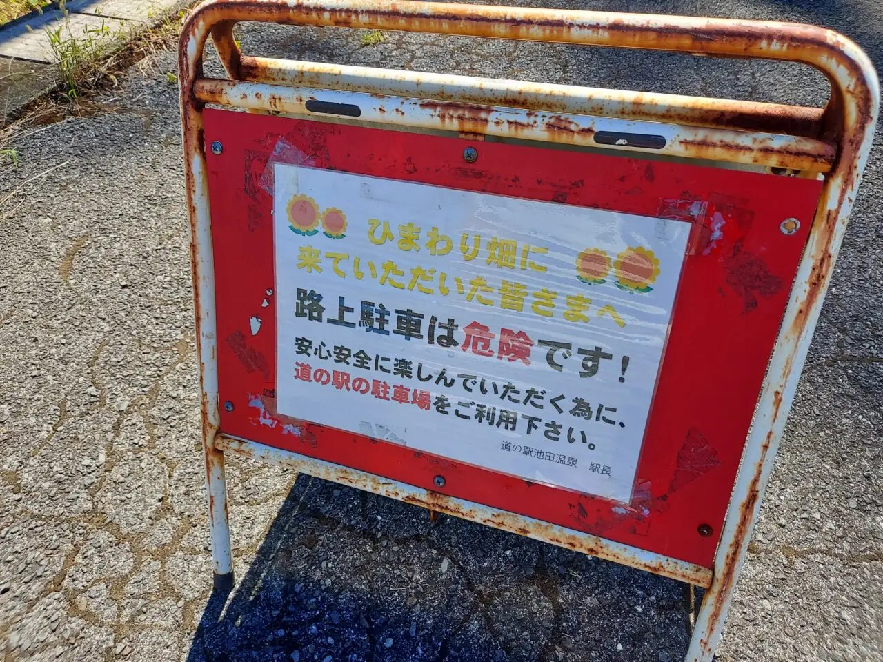 池田町片山北区ひまわり畑