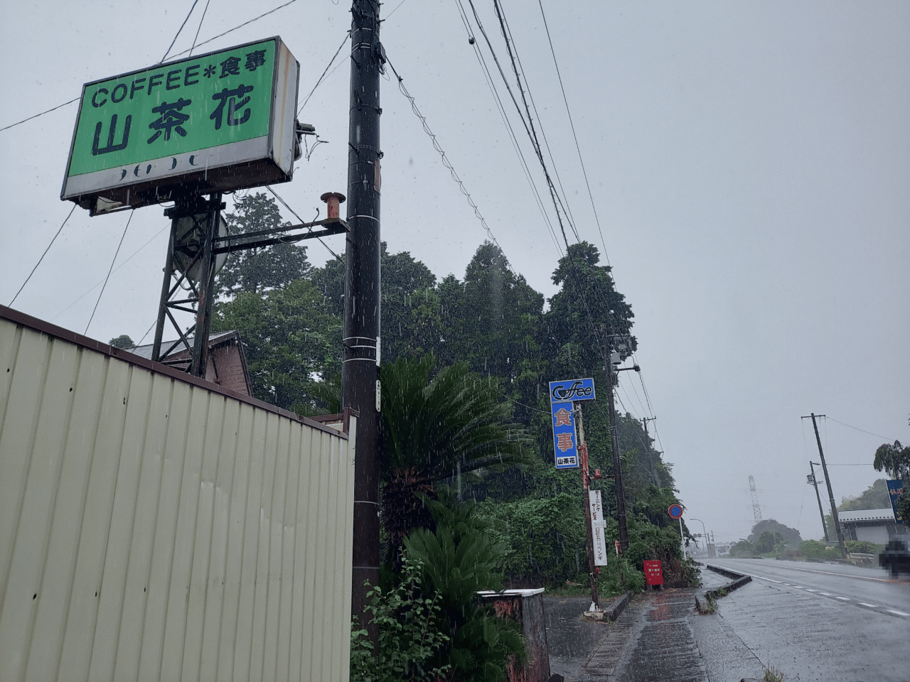 山茶花