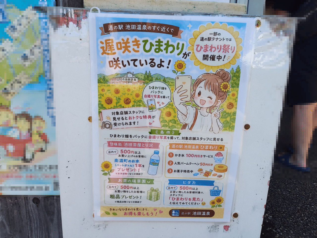 池田町片山北区ひまわり畑
