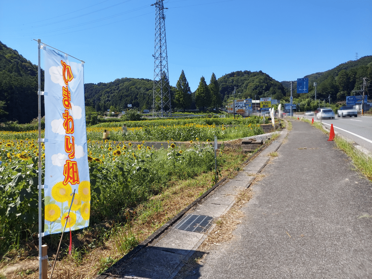 池田町片山北区ひまわり畑