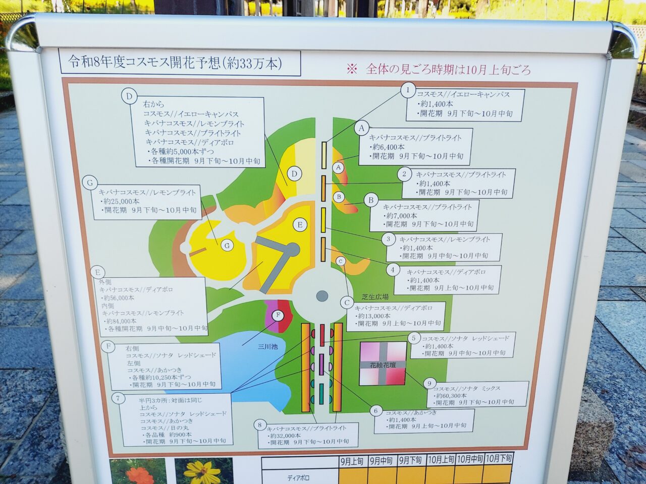 ハロウィーンストリート